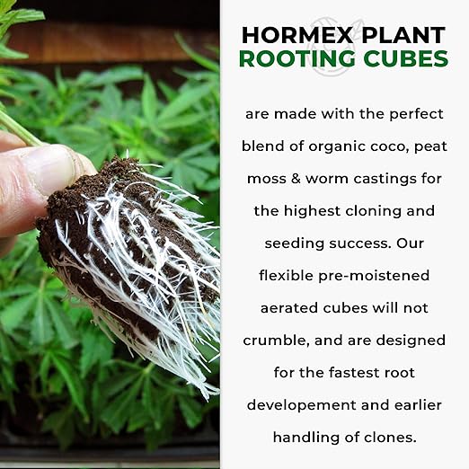 Hormex Rooting Cubes - Peat Moss & Coco Plugs for Cloning Plants from Cuttings and Seed Starting - Organic Plant Starter for Strong Root Growth - Ideal for Home, Indoor and Outdoor Gardening - 50 Pack