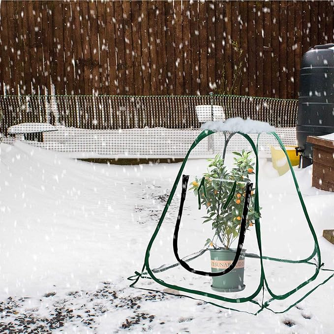 Pop Up Greenhouse Plant Cover Mini Transparent Freeze Protection Greenhouse PVC Tent with Roll-up Zipper Entry Doors for Indoor and Outdoor Gardens Protecting Plant from Cold Frost (PVC, 28x28x32in)