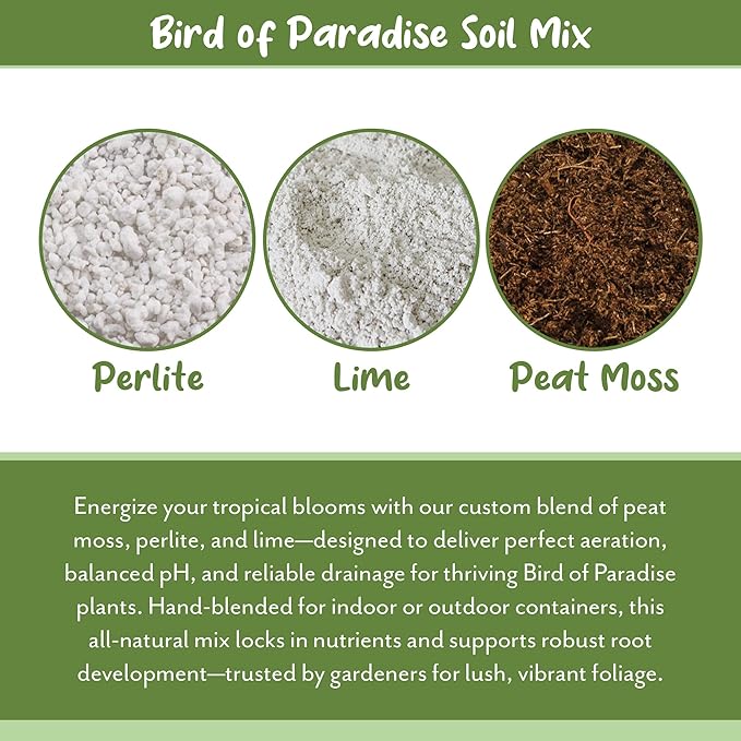 Bird of Paradise Potting Soil Mix (8 Quarts), All Natural Mix for Indoor/Outdoor Container Tropical Plants