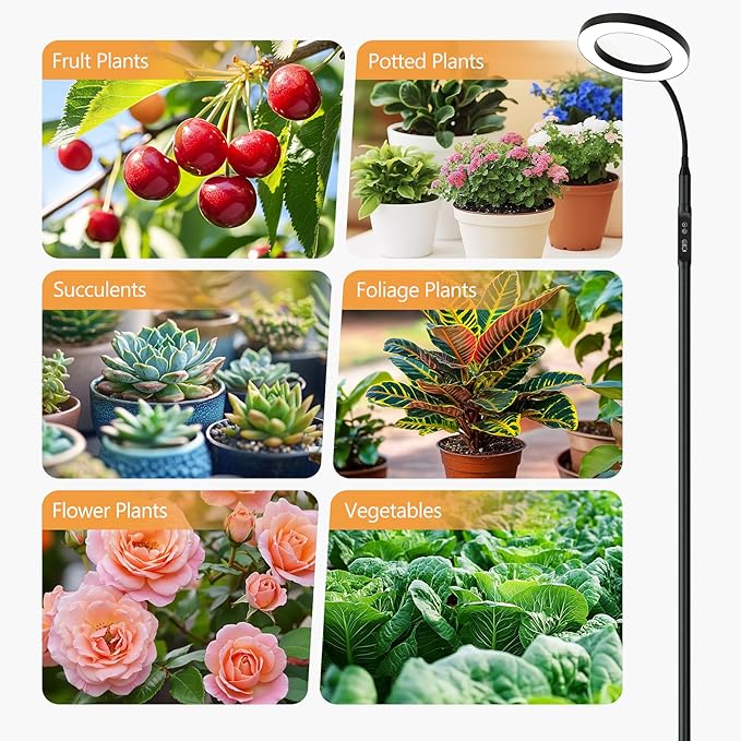 20W Indoor Plant Grow Light with Embedded Controller, Red Blue Warm Full Spectrum 95 LED Bulbs, Adjustable Height,Auto Timer,Dimmable Halo Growing Stand Lmap for Tall Large Small Plant Growth