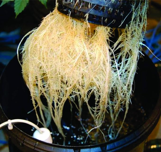 The Atwater HydroPod - DIY Add Your Own Bucket KIT - DWC Deep Water Culture Hydroponic Garden System - Bubble Bucket - with Nutrients and pH Kit - Bucket Not Included