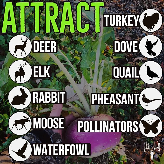 Branson’s Buffalo Blend, 25LB Bulk, Whitetail Food Plot Seed for Deer, Turkey, Pheasant, Dove, Elk & Duck, Plant Seeds Grow Forage to Feed & Attract Wildlife to Hunting Plots, No Till