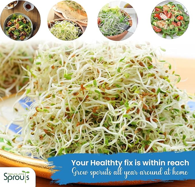 Nature Jims Sprouts Alfalfa Seed – 16 Oz Organic Sprouting Seeds – Non-GMO Premium Alfalfa Seeds – Resealable Bag for Longer Freshness – Rich in Vitamins, Minerals, Fiber