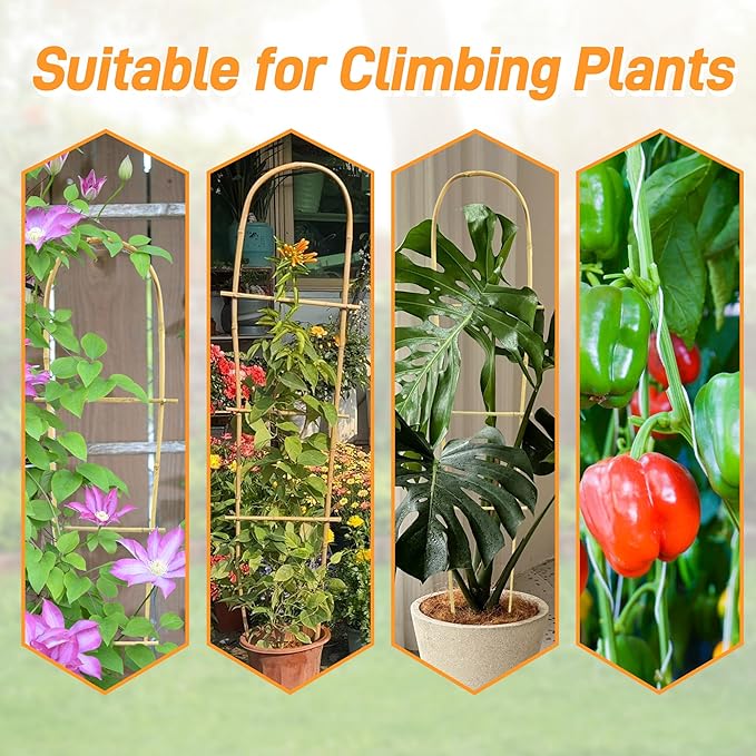 Avalution 10 Pack Bamboo U Trellis for Climbing Plants, 4 FT Garden Ladder Trellis for Potted Plants Indoor, Ladder Small Plant Support Trellis for Houseplants Ivy Hoya Vine Monstera