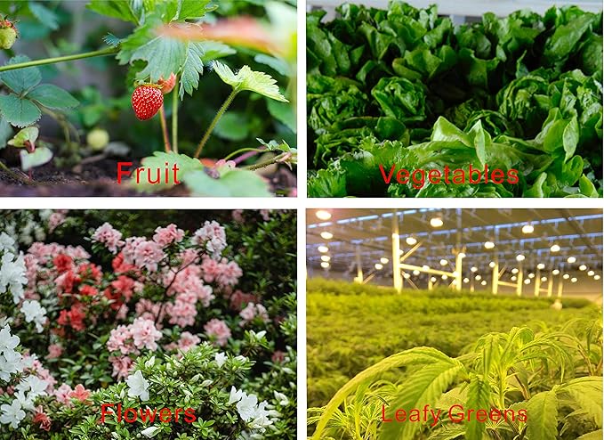 Grow Light Bulbs DE HPS 1000W Full Spectrum Double Ended High Pressure Sodium for Indoor Plant Growth lamp High PAR CCT 2100K 4 Pack