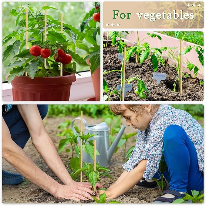 Bamboo Plant Stakes 17&12 Inch Orchid Sticks Supking Wood Plant Supports,30 Pcs Natural Bamboo Support Sticks for Plants/Floral/Potted Plant