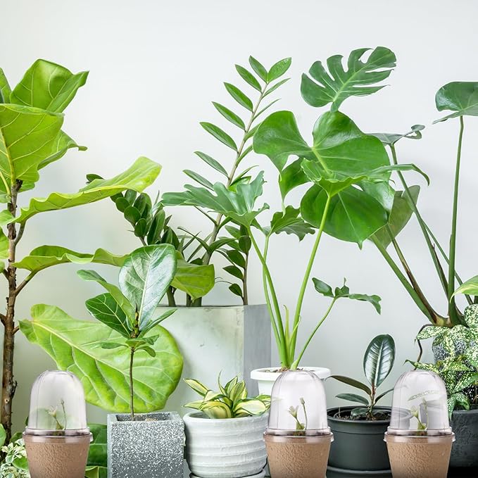 24 Pcs 3. 2 Inch Nursery Pots with Humidity Dome, Plant Seeding Starter Peat Pots for Planting, Flower Germination, Herbs and Vegetable Saplings, Indoor Outdoor Use