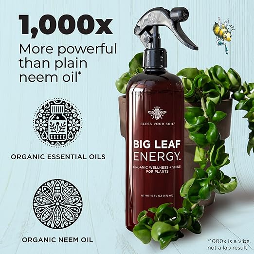 Big Leaf Energy (16 FL OZ) Organic Neem Oil Spray for Plants + Essential Oils : Ready to Use Plant Wash for Indoor Houseplants & Outdoor Gardens, Natural Leaf Shine