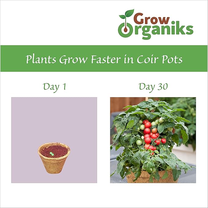 (4 Inch, 12 Pack Coco Coir Plant Pots, Biodegradable Peat Pots for Seed Starter & Seedling Kit, Small Plant Pots Germination, Mini Planter Cups for Indoor, Outdoor, Organic Planting