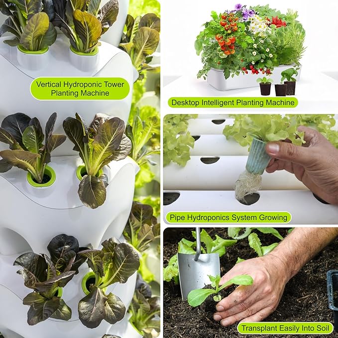 Round Hydroponic Growth Sponge - 50 Pack, Suitable for Indoor Outdoor Hydroponic Gardens, Seed Germination, Vegetable Cultivation, Seedlings & Cuttings