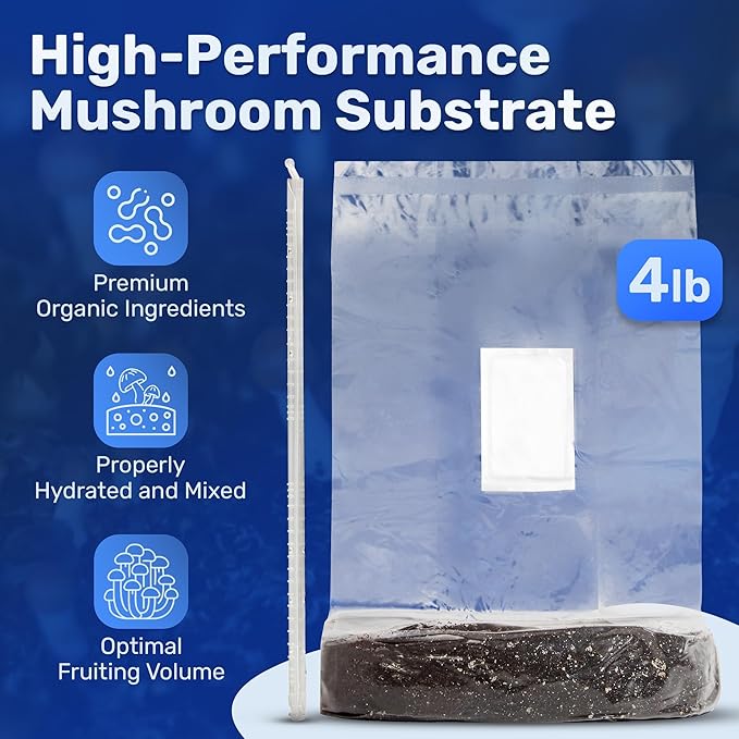 Surfin' Spores All-in-One Mushroom Grow Kit | 6 lb Grow-in-Bag Kit/Monotub Refill | Includes: 2 lb Sterile Grain Bag with Injection Port & 4 lb Organic CVG Substrate | Spores Not Included (Pack of 2)