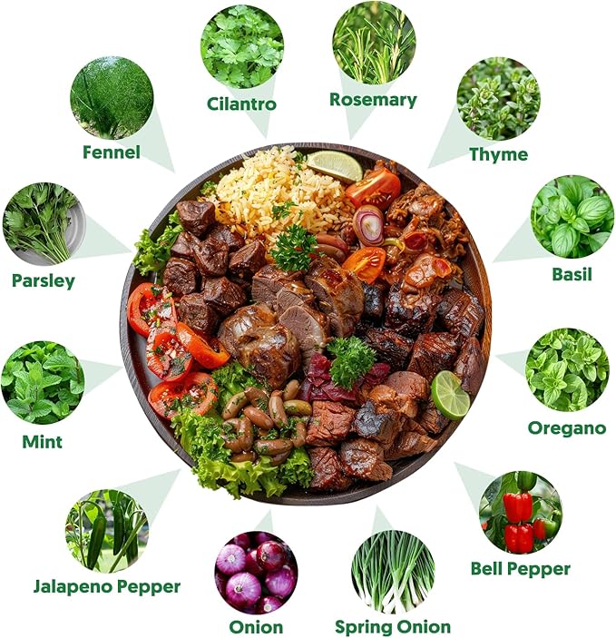 12 Varieties of Seasoning Seeds for Planting, Family Culinary Spice Herb & Veggie Seeds Packet, Basil, Rosemary, Thyme, Cilantro, Pepper, Mint, Non-GMO, Heirloom, for Home Garden Indoor Outdoor