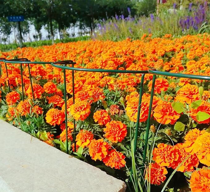 6 Pack 24 Inch High Plant Stake,Garden Plant Support,Half-Round Peony Cage Plant Ring Hoop