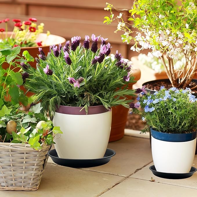 9 Pack Plant Saucer Set, 3pcs 8 inch 3pcs 10 inch 3pcs 12 inch Heavy Duty PP Plastic Pot Trays, Durable Water Catcher Plates & Drip Trays for Indoor Outdoor Gardening