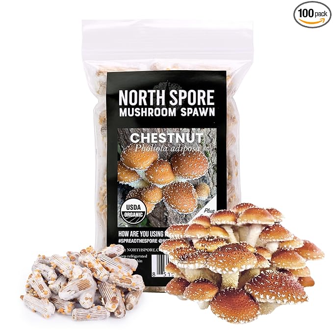 North Spore Organic Chestnut (100 ct) Mushroom Plugs for Logs | Premium Quality Mushroom Plug Spawn | Handmade in Maine, USA | Grow Gourmet Mushrooms Outdoors on Logs | Pholiota adiposa