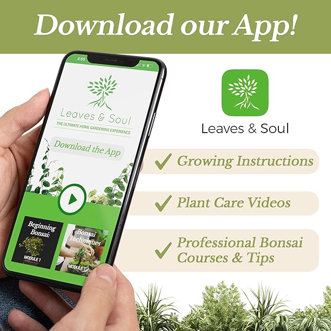 Professional Carnivorous Plant Soil | Large 2.2 Quarts Ready to Use for Venus Flytraps, Sundews, Pitcher Plants, Butterworts | Peat Moss, Coco Coir, Perlite, Dolomite | Made in USA