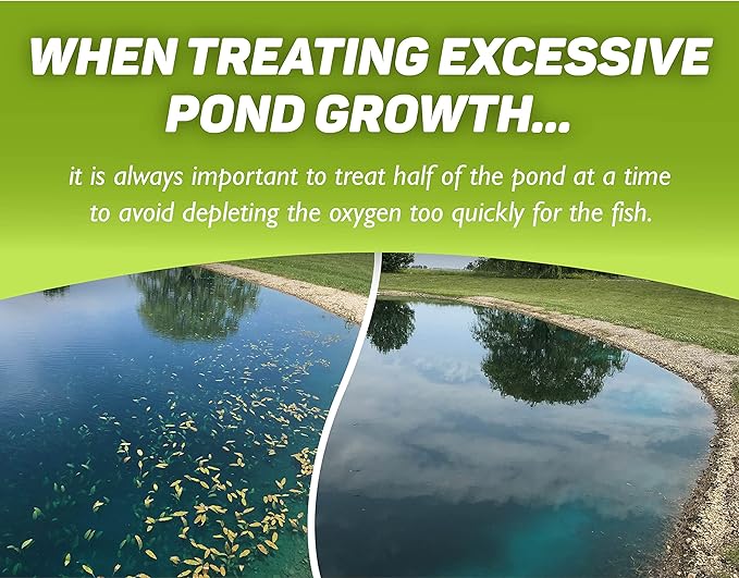 Tsunami DQ Aquatic Herbicide- Quart - 37.3 Percent Diquat Dibromide – Concentrated Aquatic Weed Killer for Lakes and Ponds - Duckweed, Watermeal, Curly Leaf, Pondweed & Many More