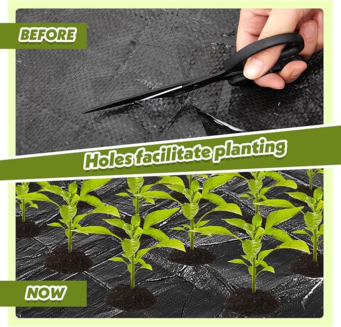 78 x 6.5 ft Garden Weed Barrier Landscape with Planting Holes Fabric Heavy Duty Weed Barrier Fabric Mat, Gardening Weed Cover Mat for Outdoor Garden Greenhouse Planting, Orchard