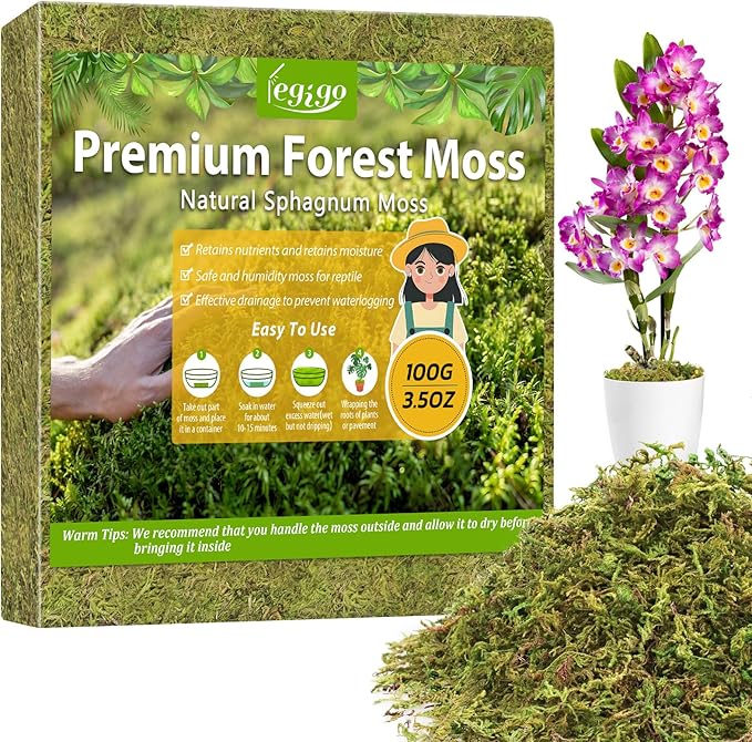 Legigo 3.5OZ Premium Forest Moss for Plants, 4QT Natural Green Sphagnum Moss for Potted Plants, Dried Orchid Moss Potting Mix, Soft Real Moss Decorative for Houseplants Orchids Succulents Reptiles