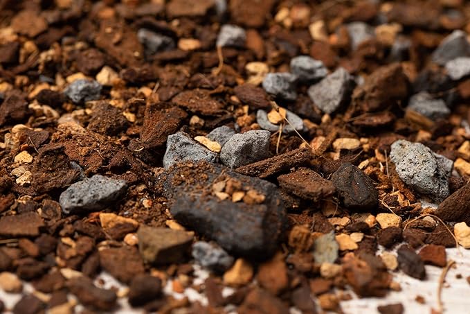 rePotme Pothos/Ivy Potting Soil for Indoor Plants - Imperial Houseplant Potting Soil Mix - Junior Bag (4 Quarts)