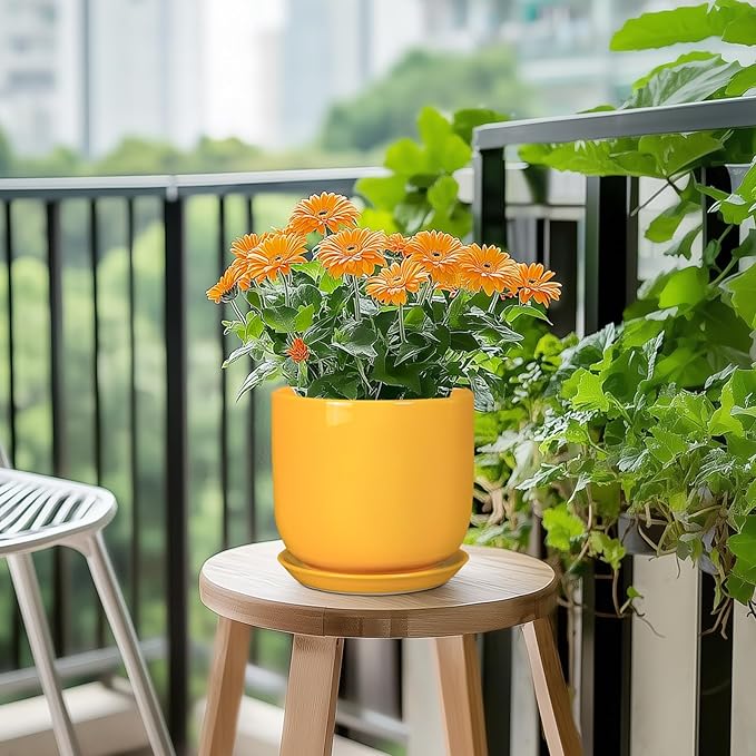 Indoor Plant Pot - 7 Inch Modern Round Ceramic Planter for Indoor Outdoor Plants with Drainage Hole and Saucer, Home Garden Office House Decor, Yellow