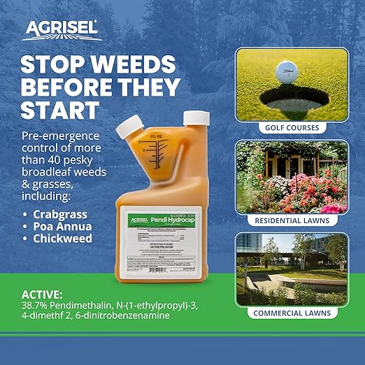 Pendi Hydrocap Weed Killer, Pre-Emergent Formula, Effective on 40+ Broadleaf Weeds and Grasses, No-Stain, Mixes Easily, Pet Safe, Includes 3-Pack of Agrisel Protective Gloves, 16 Ounces