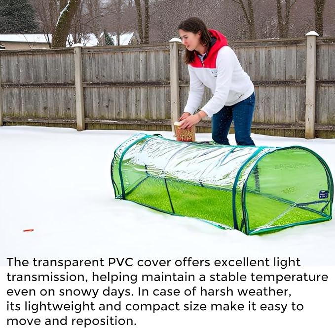 4 x 2 FT Greenhouse for Outside, Clear