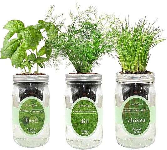 Hydroponic Herb Growing Kit Set, Self-Watering Mason Jar Herb Garden Starter Kit Indoor, Windowsill Herbs Garden, Grow Your Own Herbs from Organic Seeds (Basil, Dill, Chives)