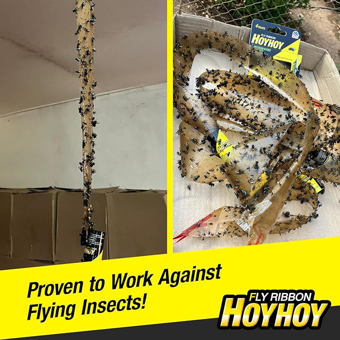 HOY HOY Fly Ribbon 4 Traps (1 Pack) - Multi-Insect Catcher for Home & Garden, Super Sticky, Long Lasting