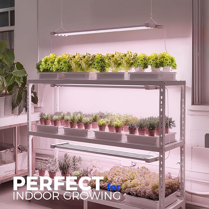 Barrina TX-L63 3FT LED Grow Light, 126W (2 x 63W), 4 Panels Wider Coverage, Full Spectrum, High PPFD, Super Bright, Linkable, Hanging Fixture, Plant Stand with Grow Light for Indoor Seeding, 2 Packs