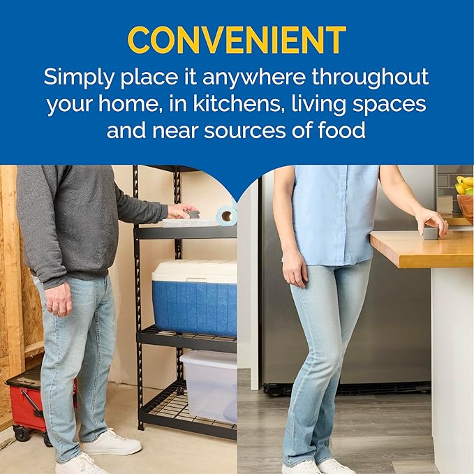 Hot Shot Flying Insect Trap, Discreet, Trap Attracts and Captures House Flies and Fruit Flies, 24/7 Continuous Attraction, No Plug-in Or Electricity Needed, 6 Count