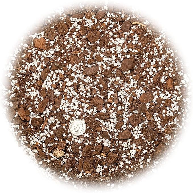 Premium Aloe Vera Potting Soil Mix - 10 Quart - (2 Bags of 5QT)