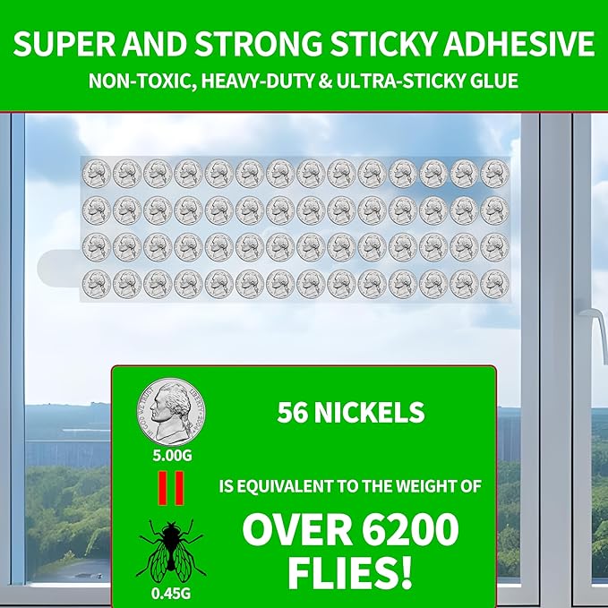 30-Pack XL Window Fly Traps, Clear Fly Paper Sticky Strips for Indoors, House Fruit Fly Catcher, Non-Toxic Bug Killer Traps for Windows, Kitchen & Home