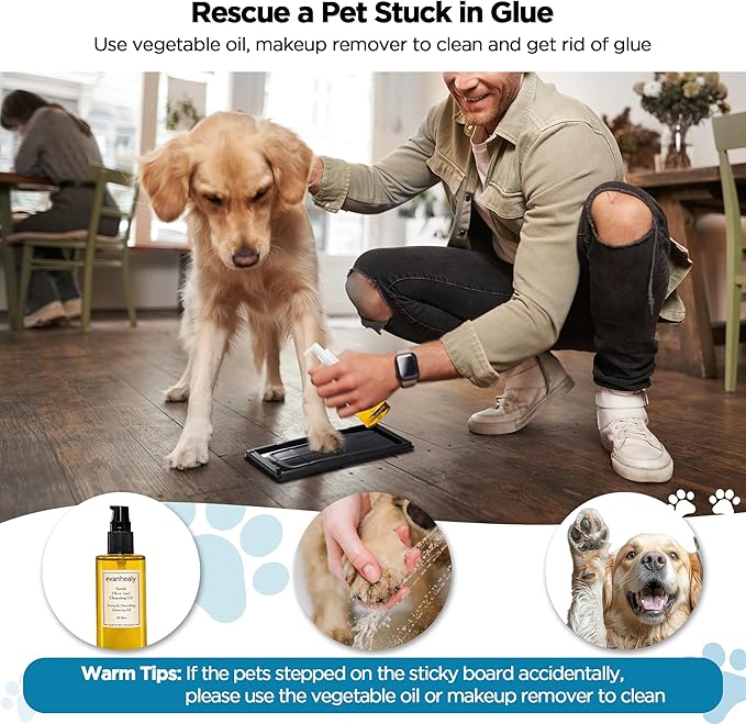 Glue Traps for Mice, 6 Pack Mouse Rat Trap, Extra Strength, Pre-Baited Adhesive Sticky Boards, Heavy Duty Glue Traps for Snake, Lizard, Insect, Safe Home Pest Control