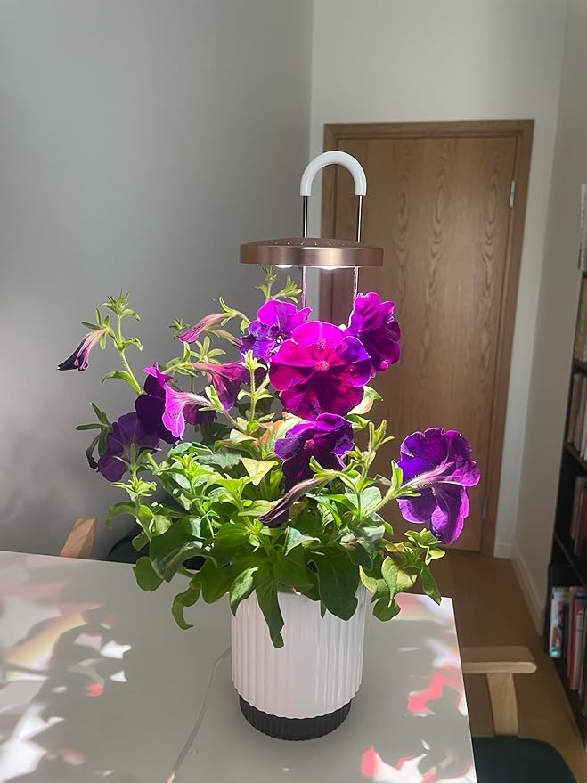 Mini Smart Planter Kit with Petunia Plant Pods by Click&Grow, Hydrovase Indoor Garden, Self-Watering Pot with Grow Light (White)