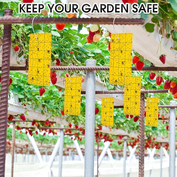 Qualirey 150 Pcs Yellow Sticky Trap for Gnats 3 x 5'' Dual Side Sticky Fruit Fly Trap with Tie Plant Sticky Trap for Flying Insect Fungus Bugs Flying Sticky Trap Sticky for Indoor Outdoor