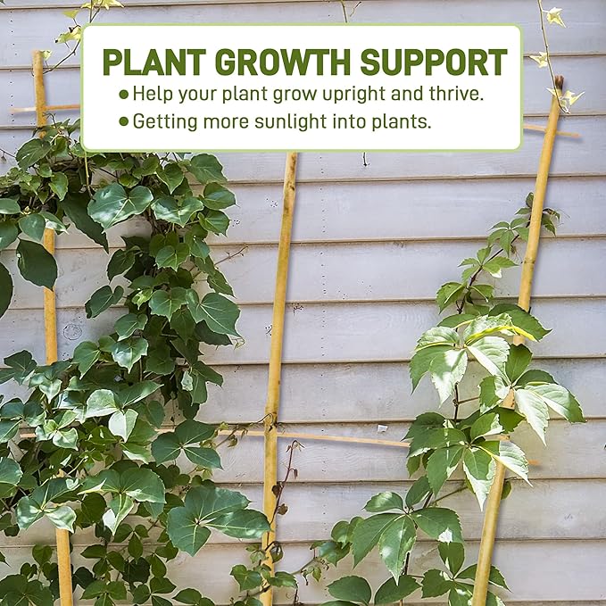 Avalution 10 Pack Bamboo Trellis for Climbing Plants, 2 FT Garden Ladder Trellis for Potted Plants Indoor, Fan-Shaped Small Plant Support Trellis for Houseplants Ivy Hoya Vine Monstera