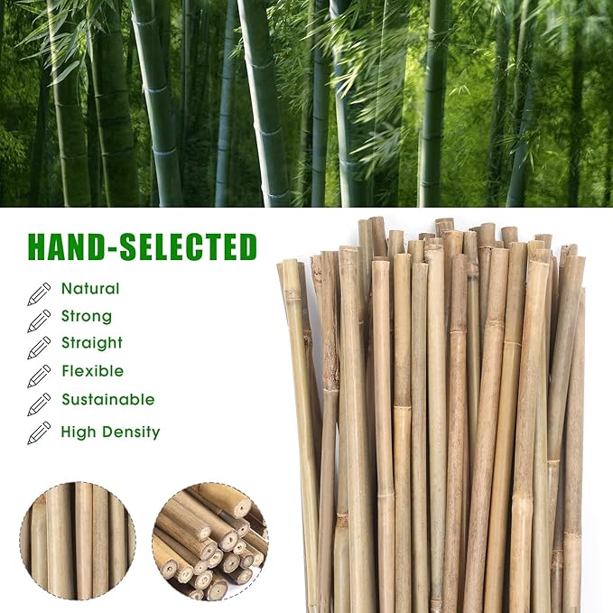 Plant Bamboo Post,3Feet,Bamboo Garden Stakes,50PcsBamboo Stakes,for Tomato,Beans,Vegetable and Flowers, Potted Plants,Indoor and Outdoor Climbing Plants
