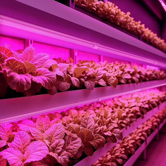 Barrina LED Grow Light, 252W(6 x 42W) 4ft T8, Full Spectrum, V-Shape with Reflector, Linkable Design, Plant Lights for Indoor Plants, 6-Pack