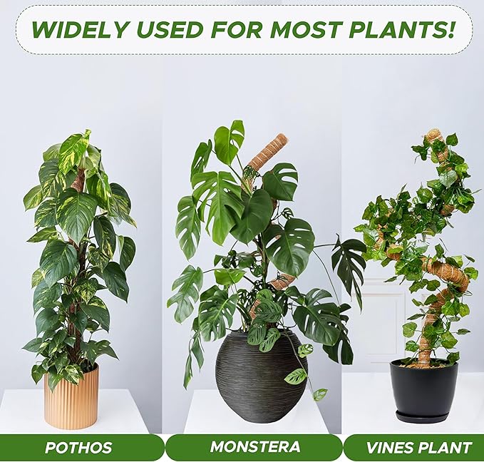 EcoNour Tall Moss Pole for Plants (2-Pack) 48-Inch | Large Monstera Plant Support for Climbing and Growth | Elevate Your Indoor Garden | Tall Plant Support for Indoor Potted Plants to Grow Upwards