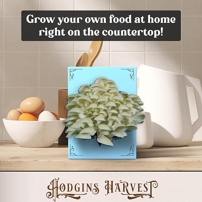 Oyster Mushroom Grow Kit | USDA Certified Organic | Grow Your Own Delicious Gourmet Mushrooms at Home