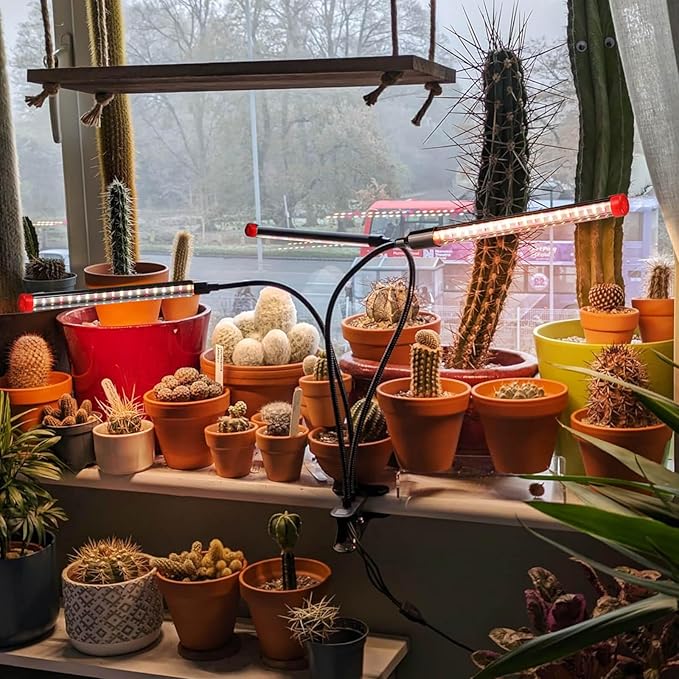 2Pack Clip Grow Lights for Seed Starting with Timer, Full Spectrum Brightest Plant Growing Lamps for Indoor Plants, Bonsai, Seedlings, 27 Watt Home Plug But Not 10W Adapter