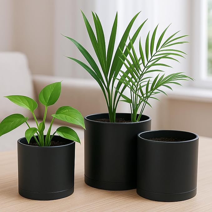 D'vine Dev 4 Inch 5 Inch 6 Inch, Set of 3 Plastic Planter Pots for Plants with Drainage Hole and Seamless Saucers, Black Color, Small, 74-V-B-1