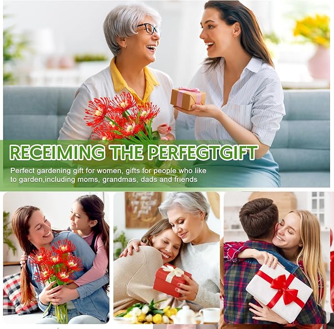 Solar Christmas Outdoor Lights Red Spider Lily – 8 Pack 24-Head Waterproof Garden Flower with Glowing Stems,Decorative Solar Powered Yard,Patio & Lawn Decor,Holiday & Gardening Gifts for Women Grandma