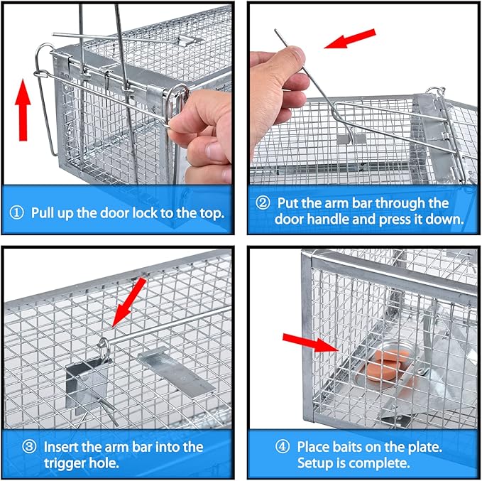 2-Pack Chipmunk Traps Humane Live Mouse Rat Cage Traps for Indoor and Outdoor Use (Silver)