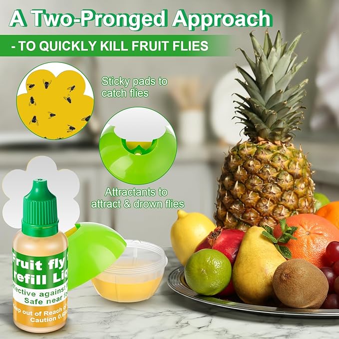 Qualirey Fruit Fly Trap for Indoors, 4 Pack Fruit Fly Trap with 4 Refill Liquid and 60 Yellow Sticky Pads, Safe Near Pets, Food and Kids, Fruit Flies Lure Liquid Trap for Home Kitchen