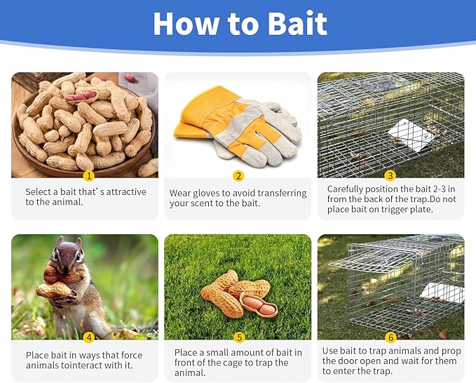 24” Humane Animal Trap Live Animal Trap Cage for Squirrels Small Stray Cats Rabbits Groundhogs Moles Gophers and Chipmunks up to 5.5 lbs Galvanized Rustproof Live Animal Cage Trap