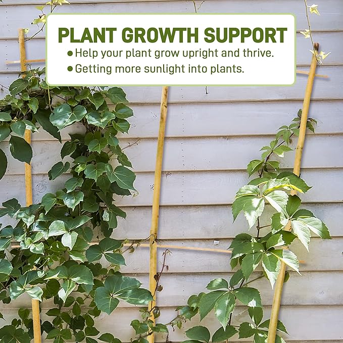 Avalution 10 Pack Bamboo Trellis for Climbing Plants, 4 FT Garden Ladder Trellis for Potted Plants Indoor, Fan-Shaped Small Plant Support Trellis for Houseplants Ivy Hoya Vine Monstera