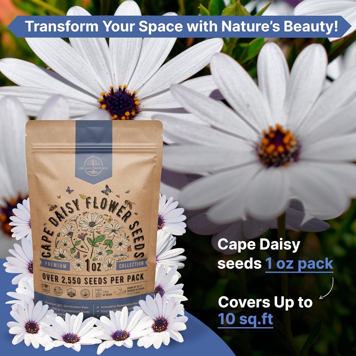 Cape Daisy Flower Seeds Pack 1 oz - Over 2,550 Non-GMO Heirloom Cape Daisy Seeds for Planting, Perennial Flowers in Individual Seed Packet, Seed for Planting Home Garden Indoor & Outdoor Gardening