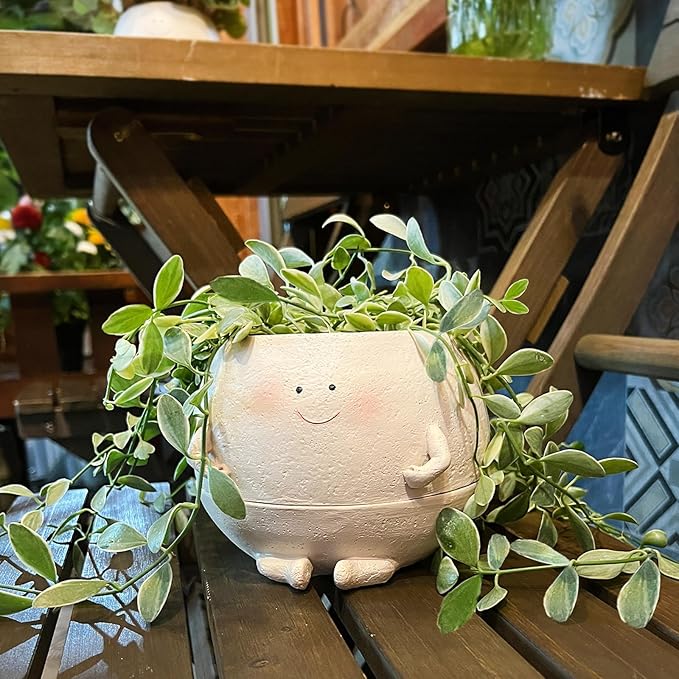 Self Watering Plant Pot 4 Inch Cute Smile Face Planter Pot for Indoor Outdoor Plants with Drainage Hole Unique Flower Pots for Succulent/Herbs/Violets